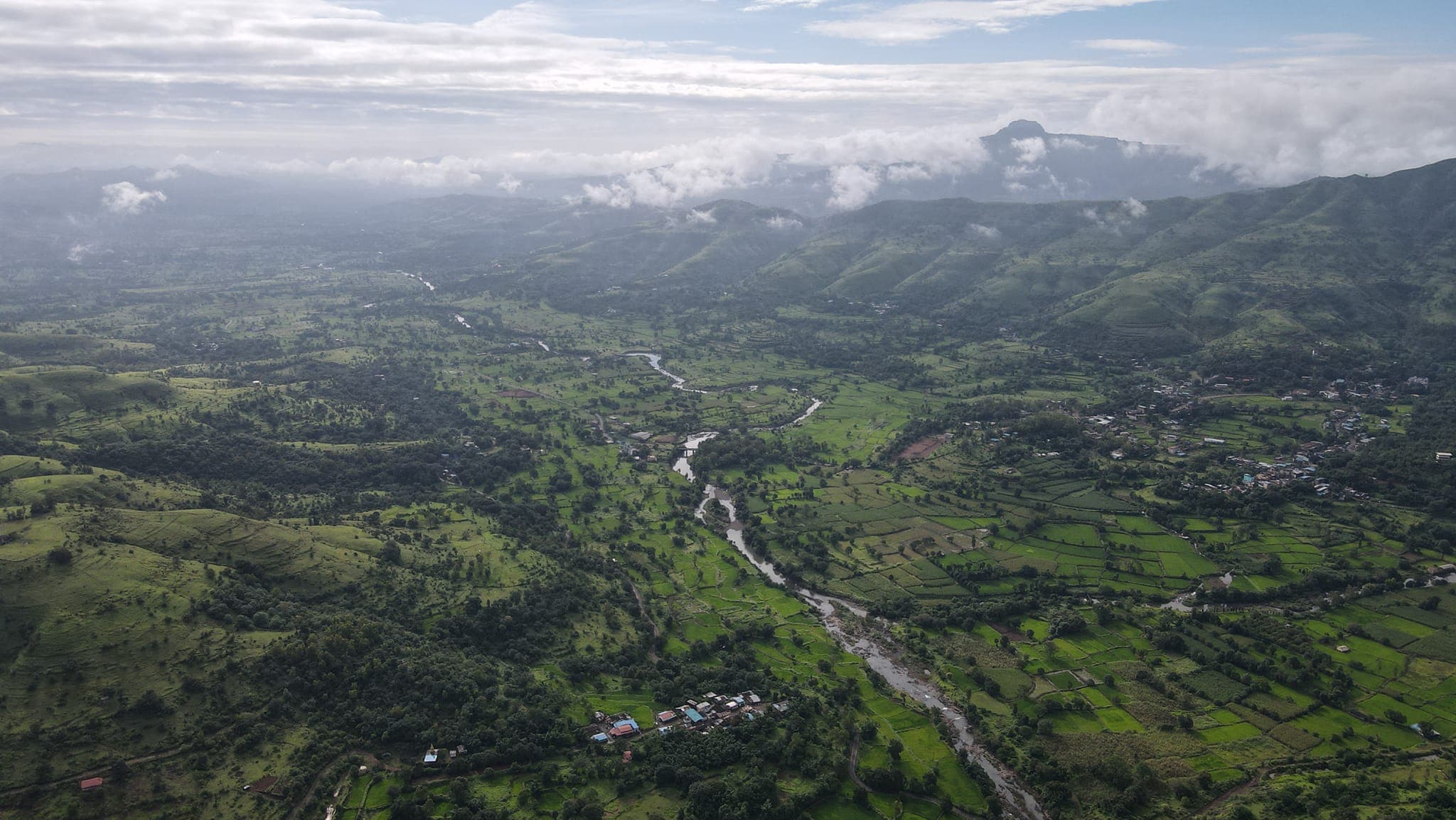 Registration Background